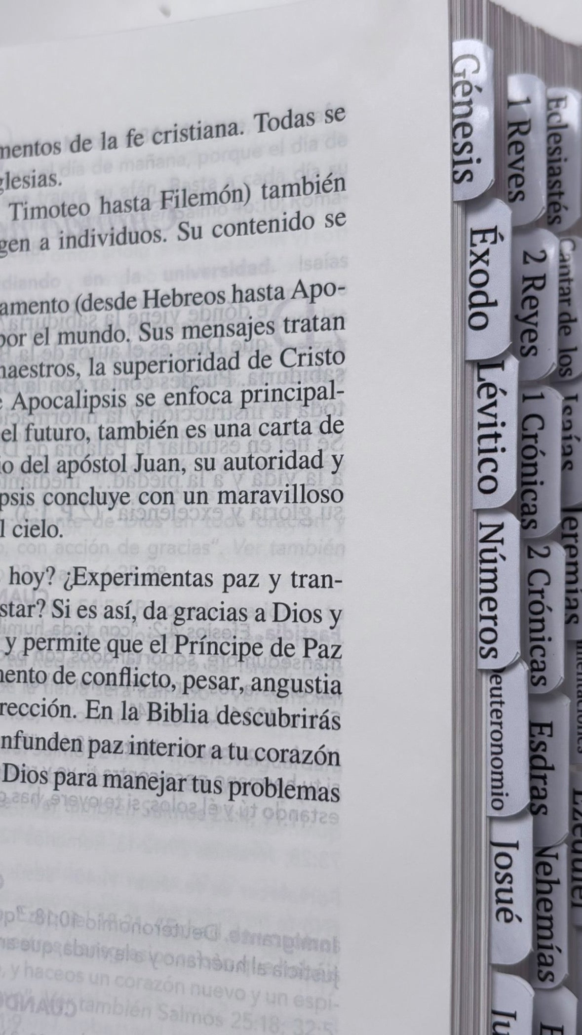 Bible Tabs