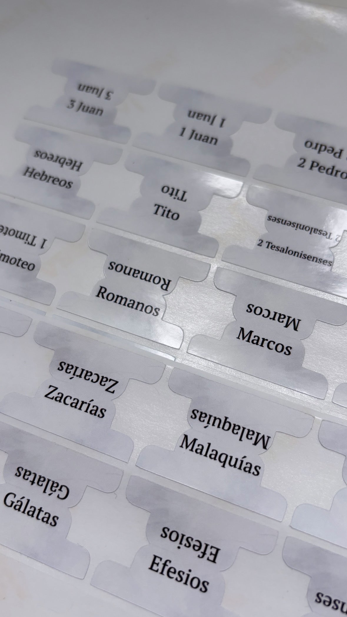 Bible Tabs